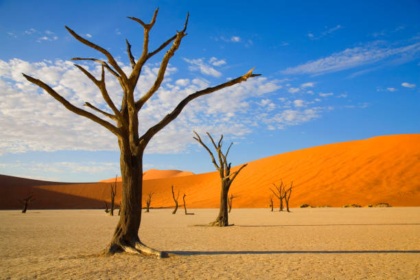 istock Namibia Sossusvlei namib desert 2167927079