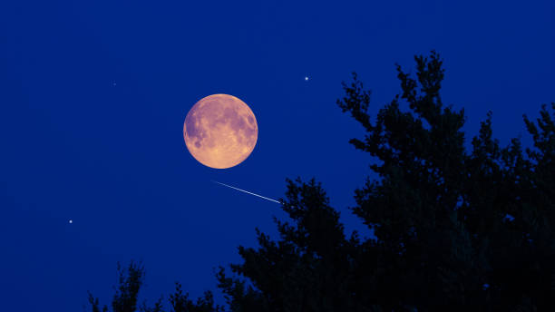 Full Moon, stars and landscape scenery silhouettes.