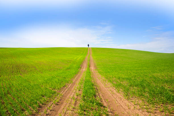 USA Washinton state Palouse farming region, man walkiing over hill on framland