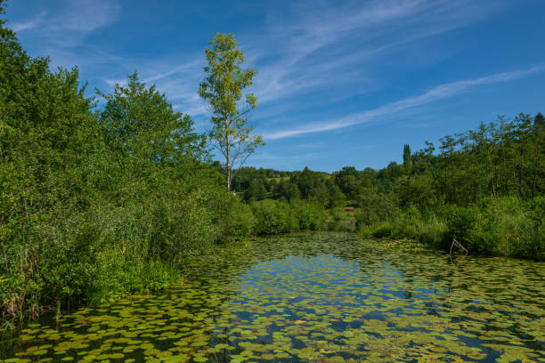 Idyllic Lake In The Alpine Foothills In Upper Bavaria