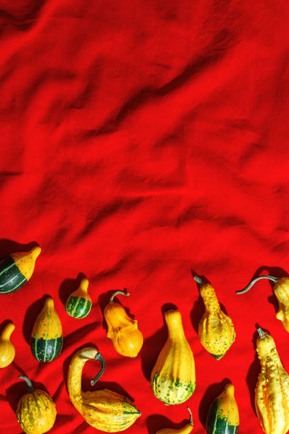 istock Pumpkins pattern, decorative diverse pumpkin, squash, patisson on red cloth background top view. Autumn, fall, halloween holiday concept. Minimal autumnal layout with sunlight shadows, copy space. 2167932458