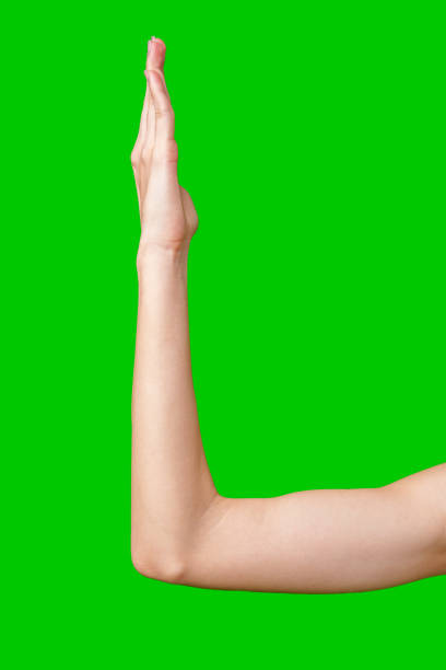istock A Woman's Arm Extended Upward With Hand Open on a Green Screen 2167932886