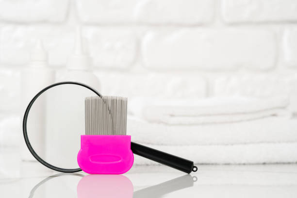 istock Lice treatment product next to a nit comb and magnifying glass 2167932987