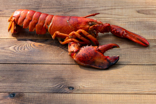 istock Lobster on wooden Background 2167933998