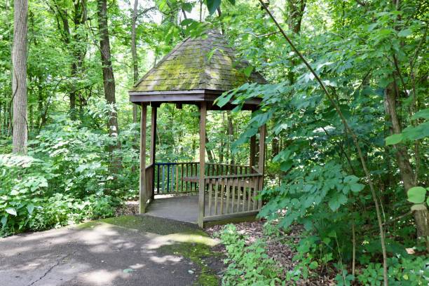 istock Brown Wood Gazebo 2167934037