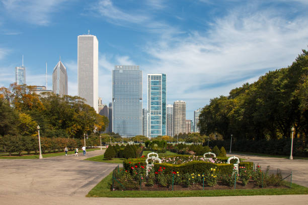 Flowers in Lurie Garden against the Chicago skyline