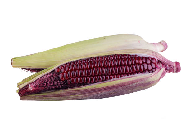 istock fresh purple corn isolated on a white background 2167935101