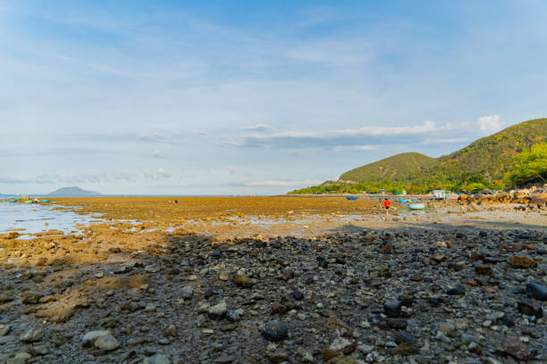 istock The sea ebb at sunset. 2167935489