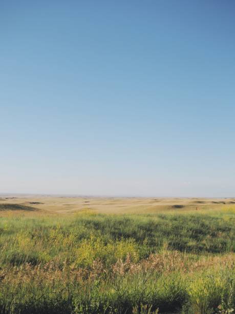 istock Grasslands at golden hour 2167937138