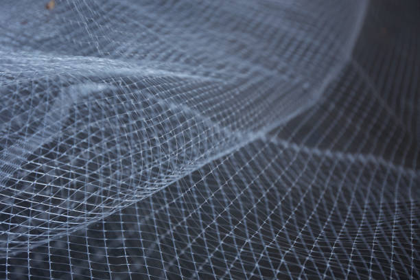 istock Abstract background of white net on a dark background 2167937900