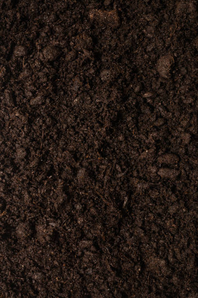 istock Black land for plant background. 2167941061