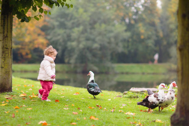 istock Child in fall park. Kid with autumn leaves. 2167944092