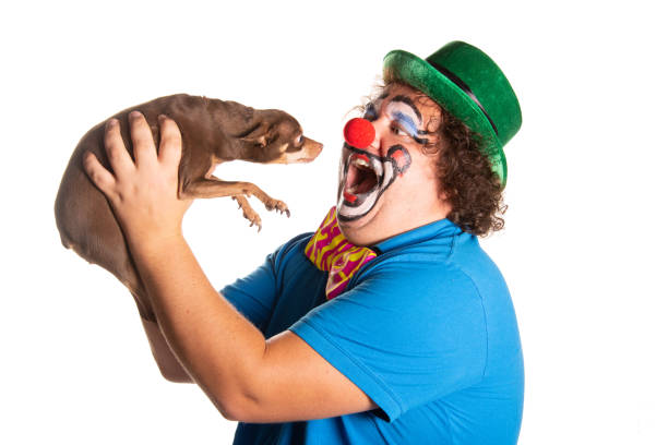Funny fat clown posing on a white background.
