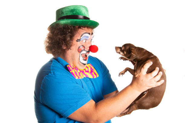 istock Funny fat clown posing on a white background. 2167944142