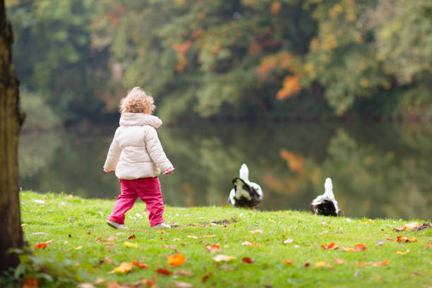 istock Child in fall park. Kid with autumn leaves. 2167944187