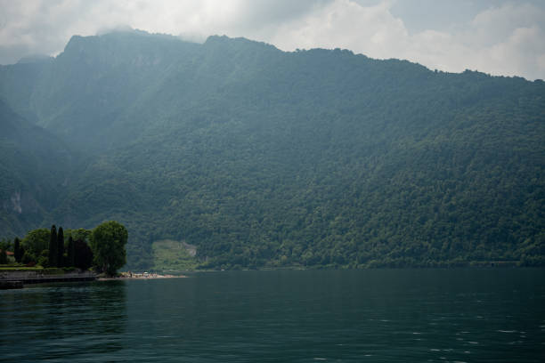 Beautiful landscape of the green water reservoir surrounded by lush vegetation in kam shan country park, hong kong