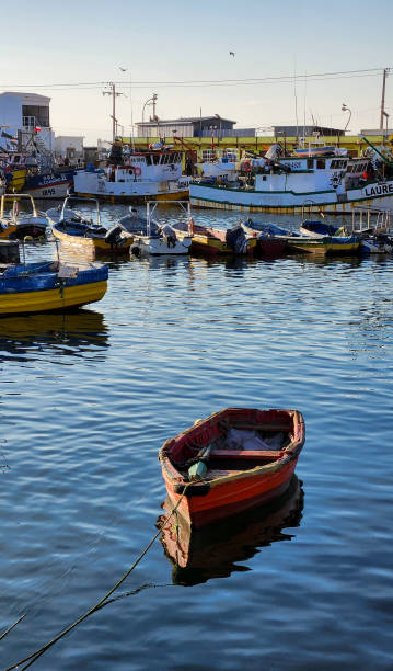 Fishing boats