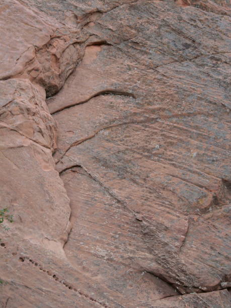 istock Red Rock Canyon Open Space in Colorado Springs 2167963488