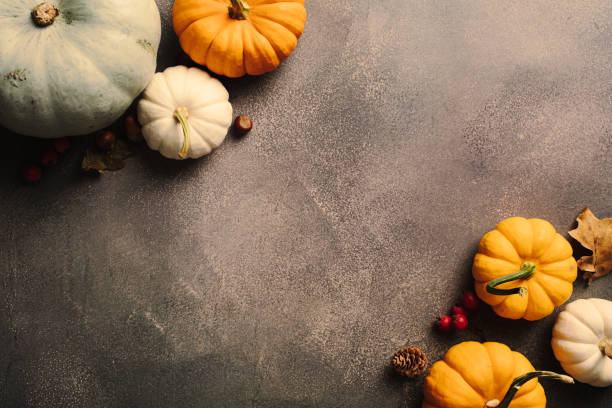 istock Ripe orange pumpkins with fallen leaves, berries, nuts on stone background. Autumn, fall, Thanksgiving holiday greeting card. 2167963731