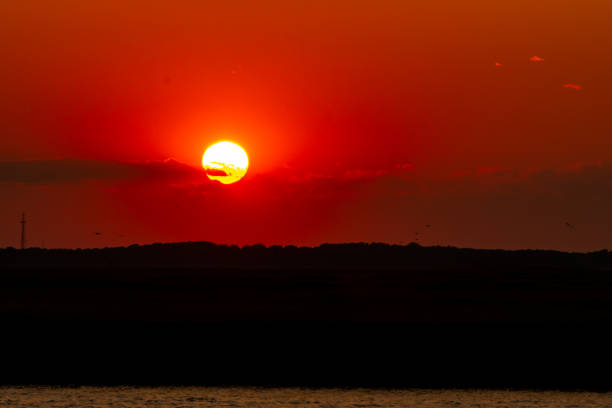 Avalon, New Jersey - Sunset over the salt marsh in the Cape May National Wildlife Refuge