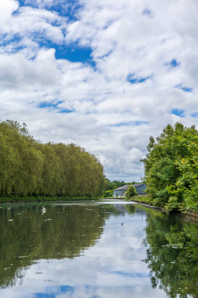 istock Serene Canal Scene with Lush Greenery and Swans 2167968357