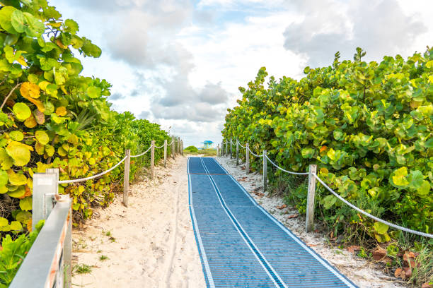istock Pathway to the beach in Miami Florida with ocean background 2167969395