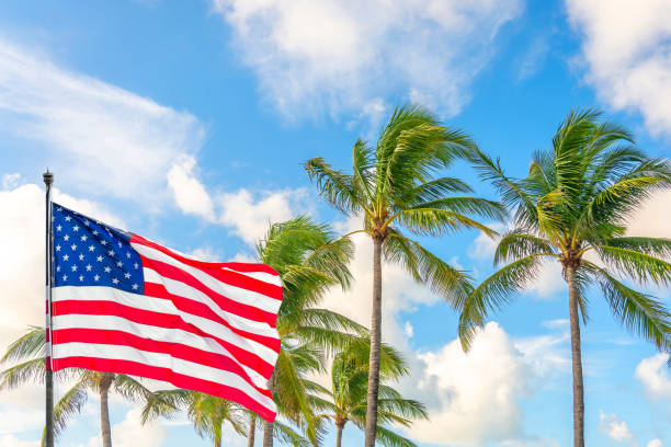 istock American flag waving against palm trees on blue sky background 2167972406