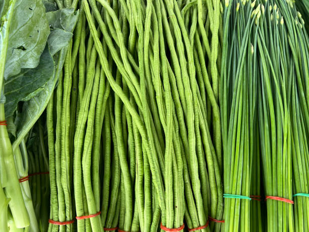 istock yard long beans in market 2167973155