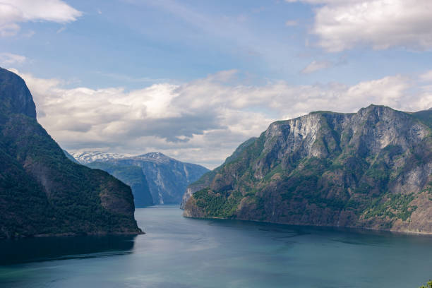 istock Norwegian Fjord 2167976066