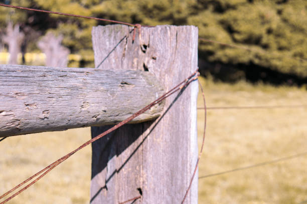 istock old rural fence in field 2167976485