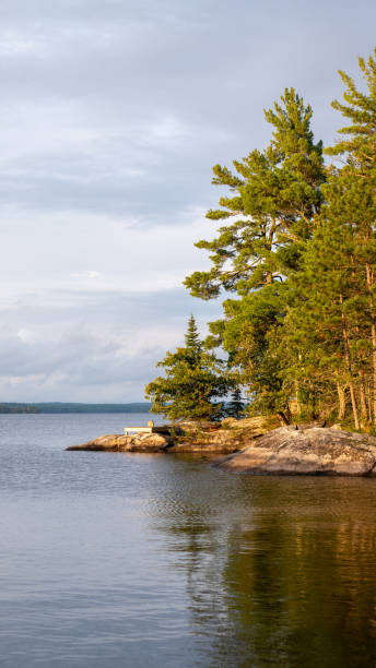 istock Stunning Lake Coast Line 2167977339