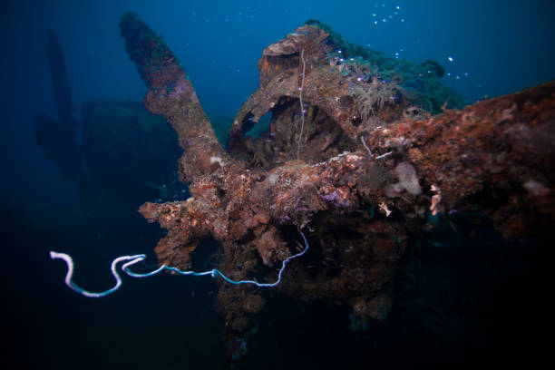istock Seaplane covered in coral 2167978501