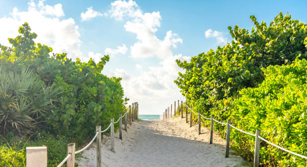 istock Pathway to the beach in Miami Florida with ocean background 2167979469