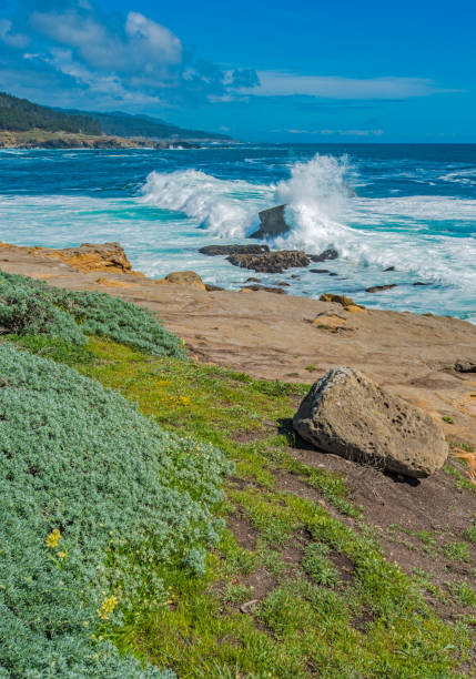 Pacific Ocean waves hitting the rocks at Salt Point State Park, Sonoma County, California.