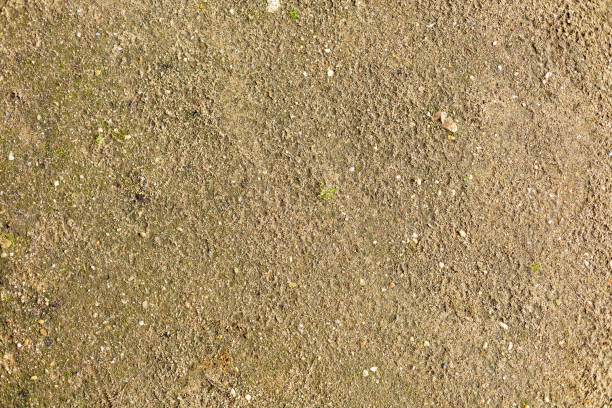 istock Close-Up of Textured Sandy Ground Surface 2167980739