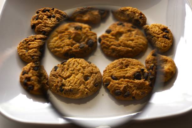 A group of choco chip cookies on a plate with magnifying glass, concept of diet calories