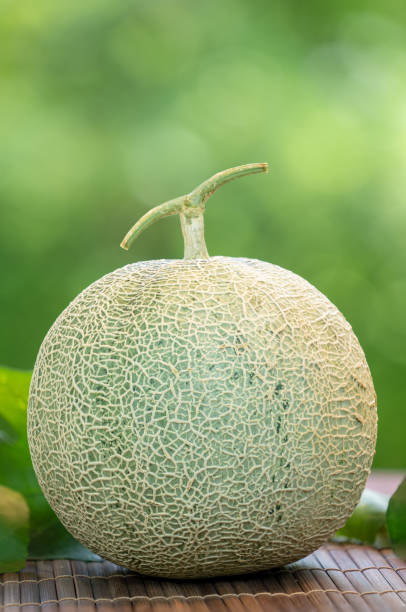 Orange Melon on blurred greenery background, Orange Melon or Cantaloupe fruit in Bamboo mat on wooden table in garden.