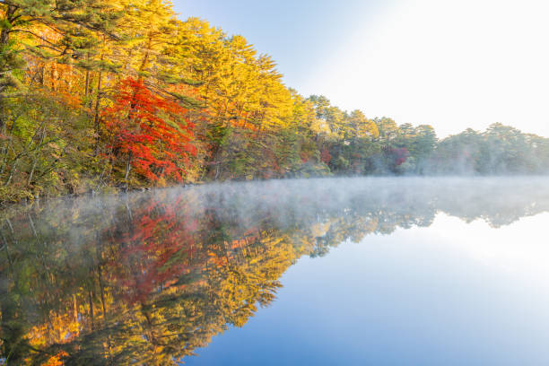 istock Goshikinuma Lakes: Yanaginuma in autumn 2167987371