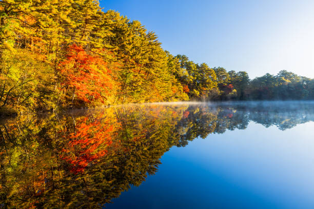 istock Goshikinuma Lakes: Yanaginuma in autumn 2167987739