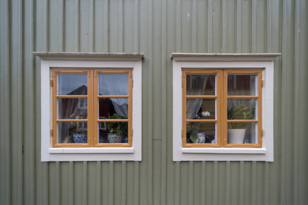 Traditional Swedish style home green facade