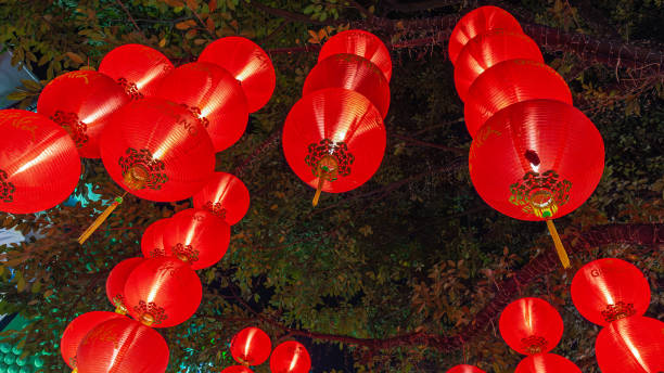 istock Chinese lanterns hang from trees to provide light 2167990598