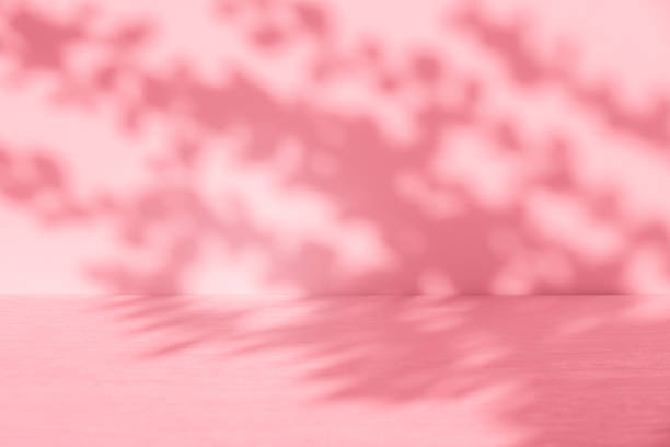 istock Wall interior background, studio, and backdrops show products. with shadow from window color white and pink light. background for text insertion and presentation of product 2167992150