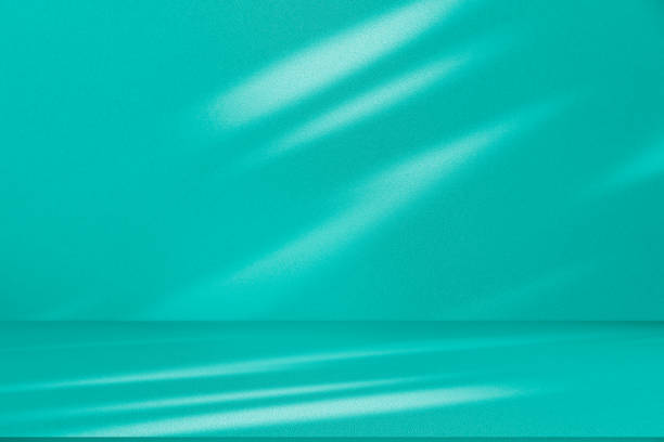 istock Studio style background wall decoration presentation uses white and green tones. with shadows cast from a nearby window, concept creating a decorative 2167992192