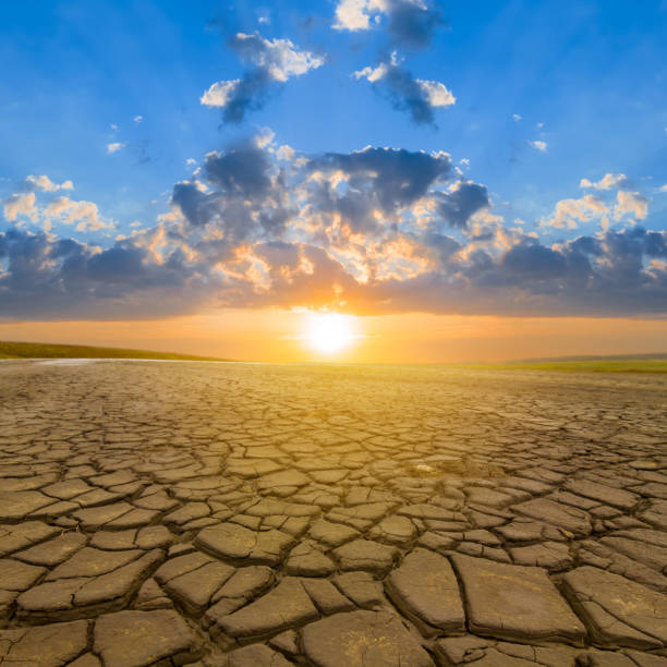 istock dry cracked earth at the dramatic sunset,  evening ground desert landscape 2167998770