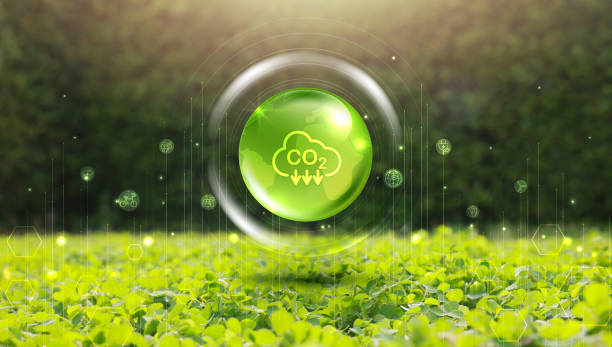istock Reduce CO2 or carbon concept in bubbles. CO2 emission using clean energy and limit global warming. save our planet, world environment day, world earth day. sustainable development and green business. 2168004305