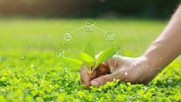 istock Hand holding with tree for co2, ESG and net zero. energy saving concept. save our planet, world environment day, world earth day. sustainable development and green business. 2168004868