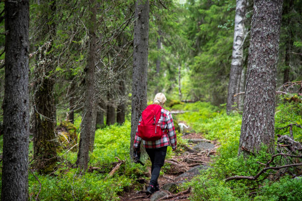 istock Woman hikin in forest 2168006031