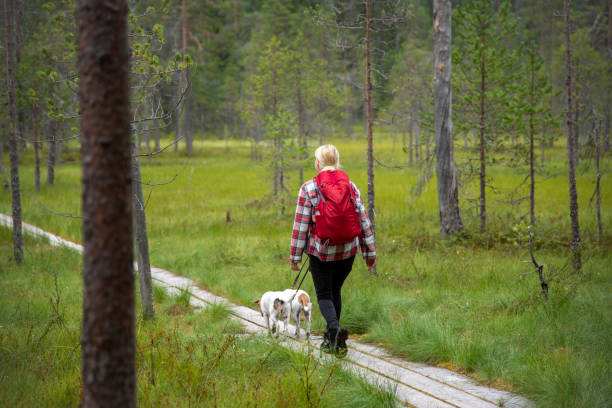 istock Woman hikin in forest 2168006049
