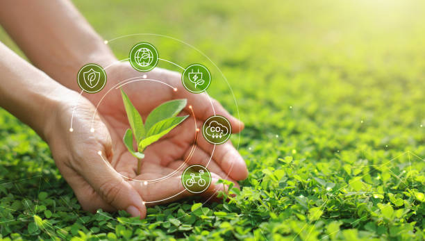 istock Hand holding with tree for co2, ESG and net zero. energy saving concept. save our planet, world environment day, world earth day. sustainable development and green business. 2168006163