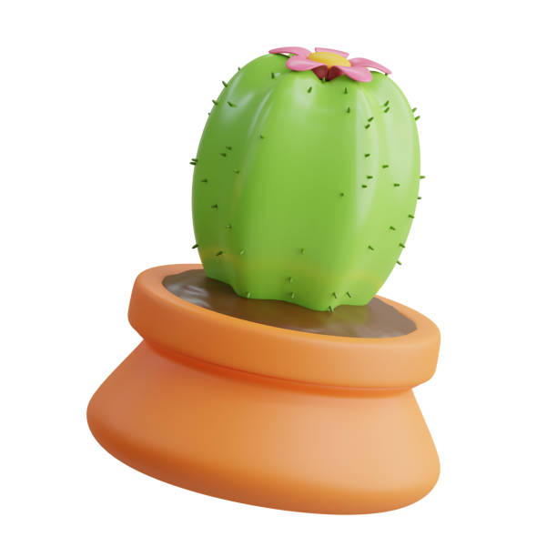 White cactus